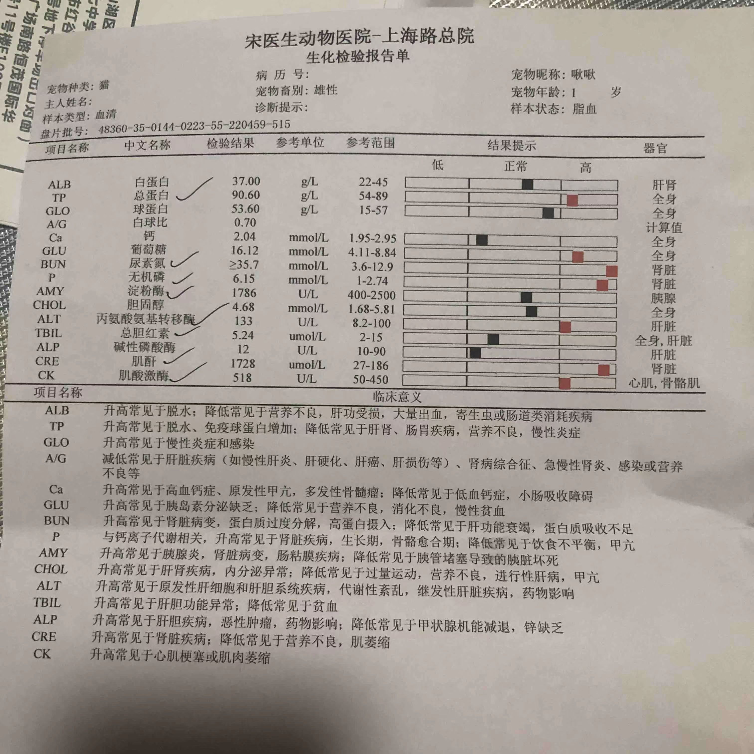 毒猫粮|网易严选吃到闭尿,尿血,肾衰